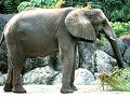 台北市立動物園