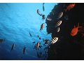 澎湖水旅館