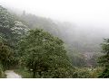 鳴鳳山古道