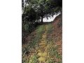挑鹽古道
