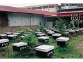 龍頭休閒農場
