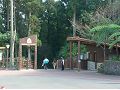 藤枝國家森林遊樂區