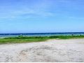 台東海濱公園