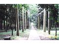 台大熱帶樹木標本園