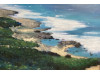 高雄水墨藝術學會第43屆會員聯展登場　4
